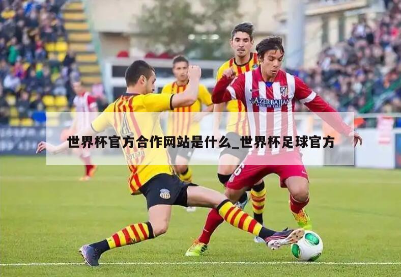 世界杯官方合作网站是什么_世界杯足球官方