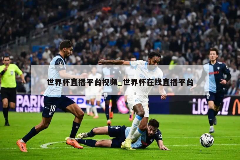 世界杯直播平台视频_世界杯在线直播平台