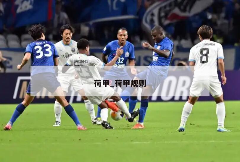 荷甲_荷甲规则
