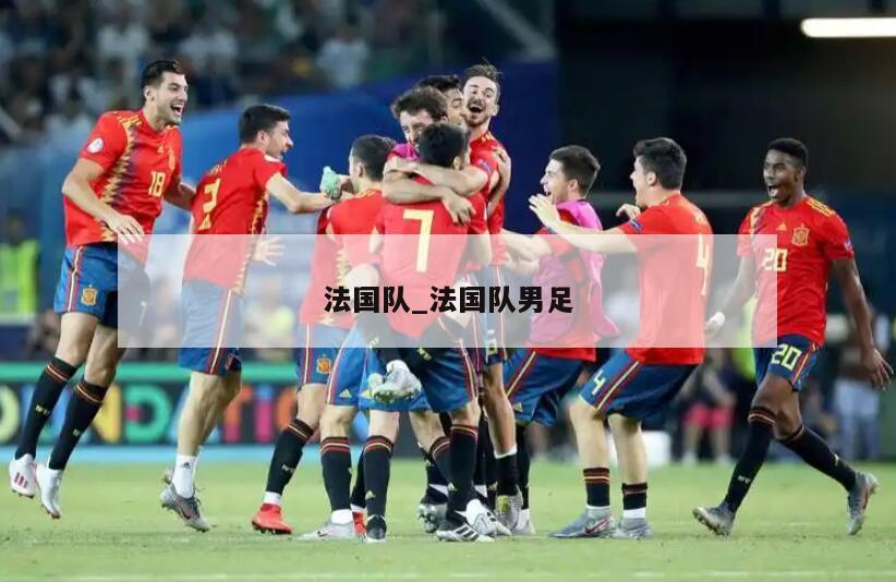 法国队_法国队男足