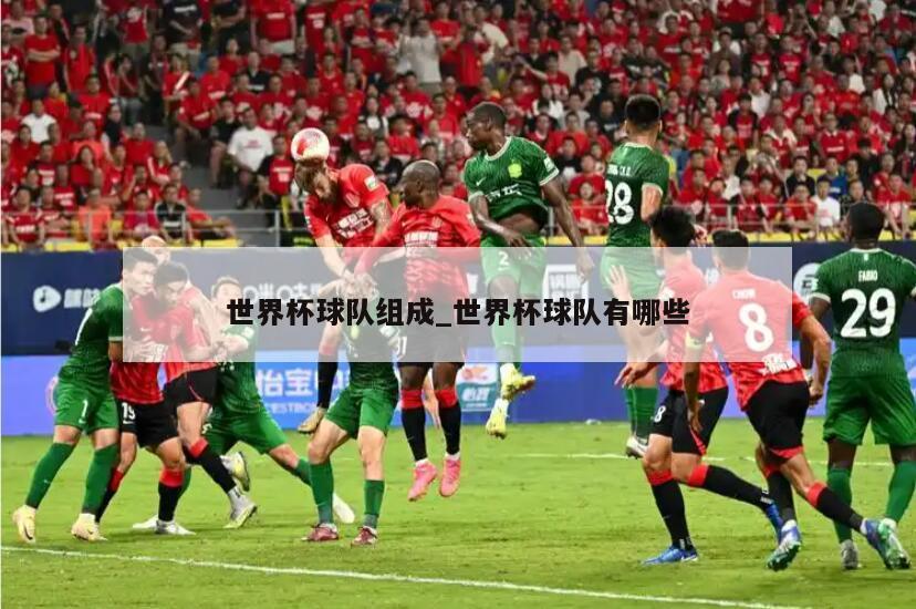 世界杯球队组成_世界杯球队有哪些