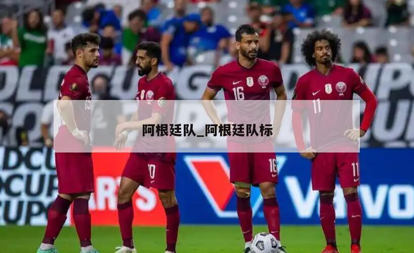 阿根廷队_阿根廷队标