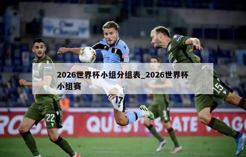 2026世界杯小组分组表_2026世界杯小组赛