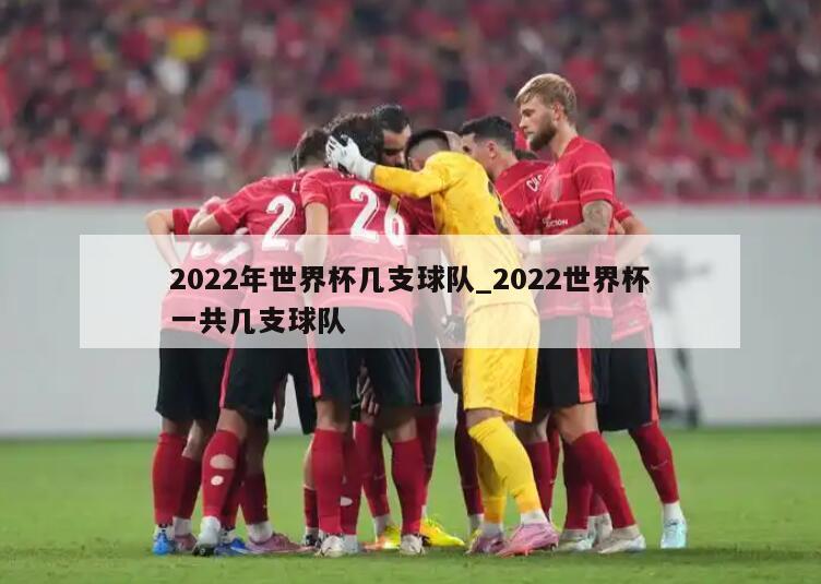 2022年世界杯几支球队_2022世界杯一共几支球队
