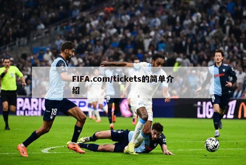 FIFA.com/tickets的简单介绍