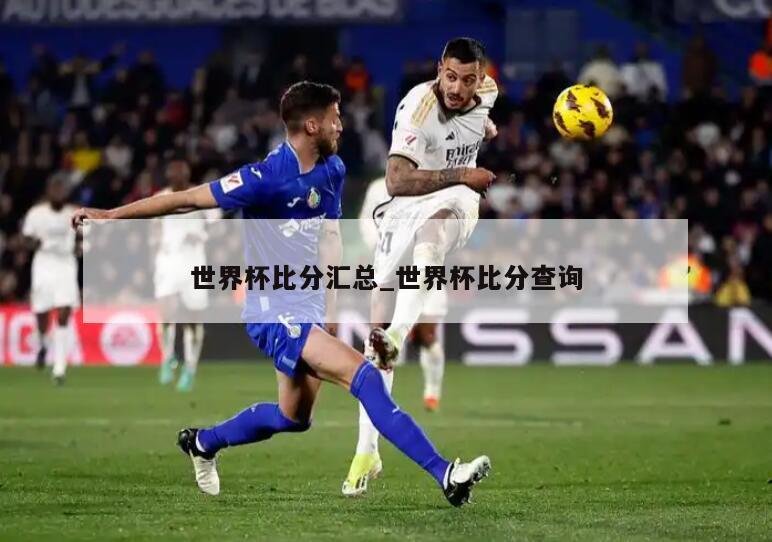 世界杯比分汇总_世界杯比分查询