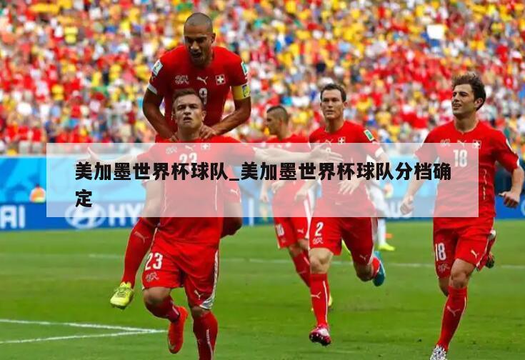 美加墨世界杯球队_美加墨世界杯球队分档确定