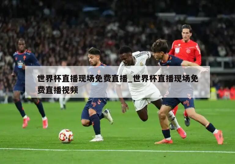 世界杯直播现场免费直播_世界杯直播现场免费直播视频