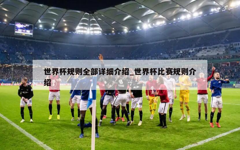 世界杯规则全部详细介绍_世界杯比赛规则介绍