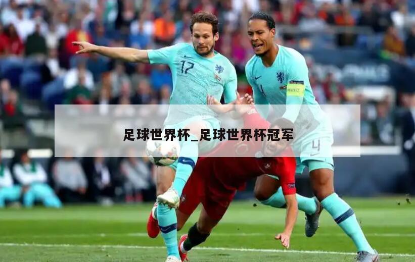 足球世界杯_足球世界杯冠军