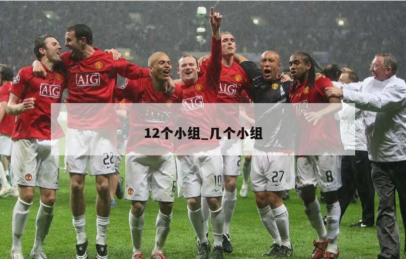 12个小组_几个小组